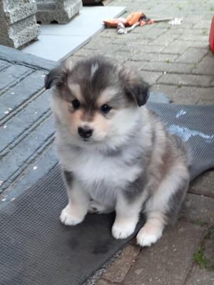 images/J-Wurf/Jodie Forster/Jodie-Foster-6.jpg